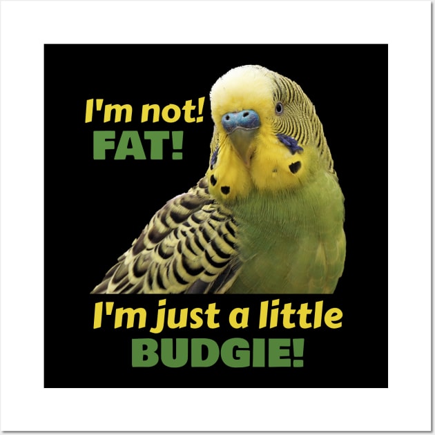 Fat Budgie Parakeet Parrot Wall Art by Einstein Parrot